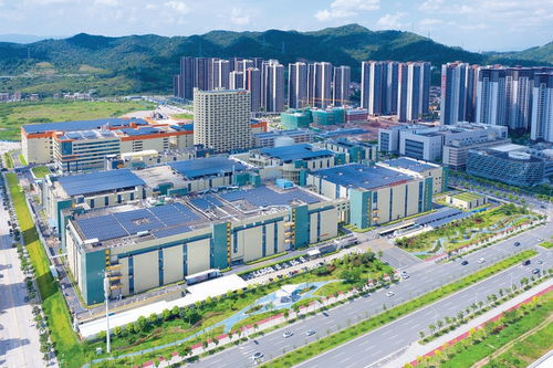 惠州出臺“1+4+N”實施方案，繪制高質量發(fā)展施工圖